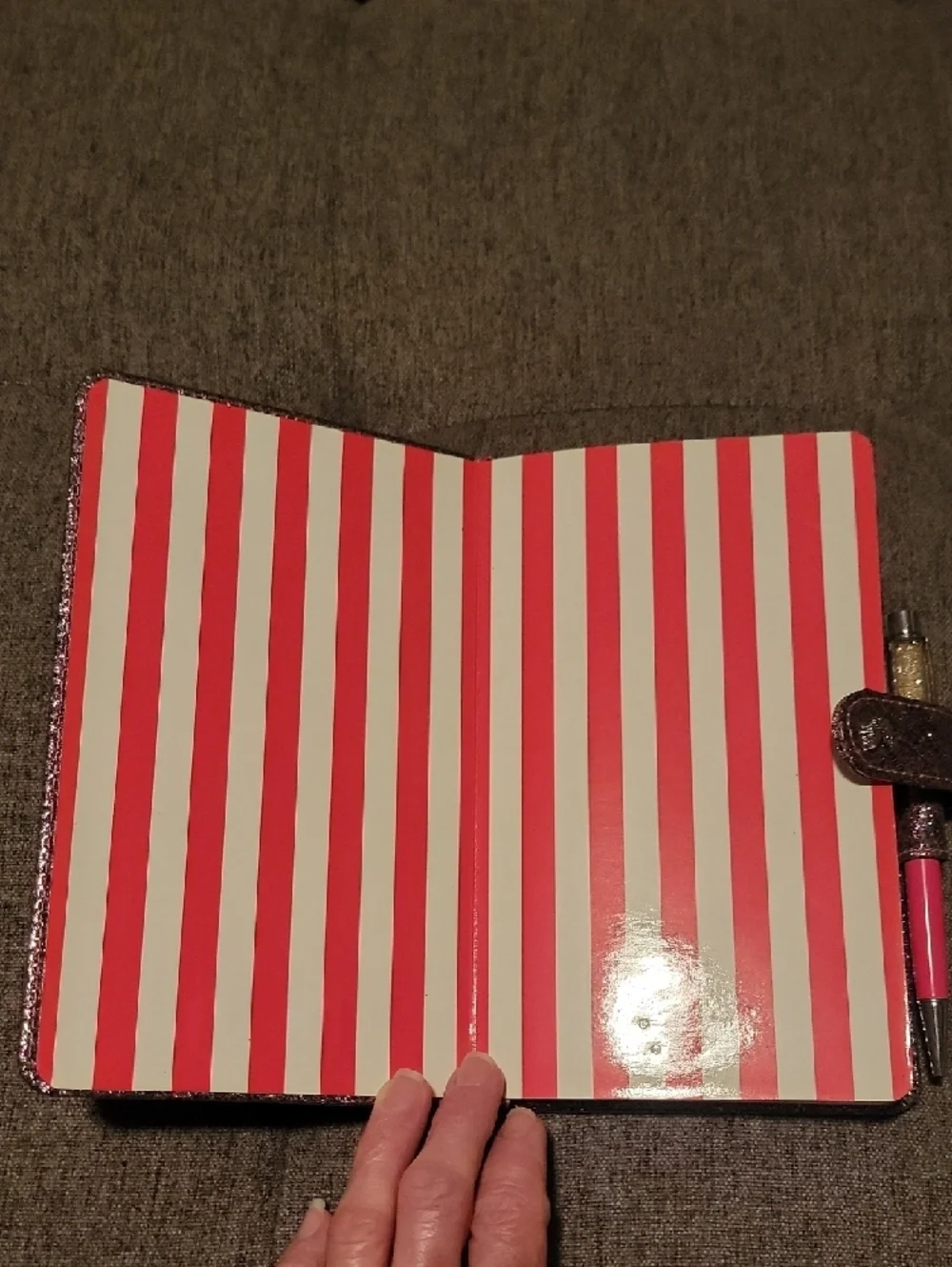 Victoria's Secret Limited Edition Sparkly Pink Angel Wing Notebook with Pen Y2K